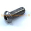 Lotus Elise S3 2011+ Stainless Steel Under Tray & Diffuser Bolts Screws Cip Kit